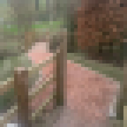 IMG 7879