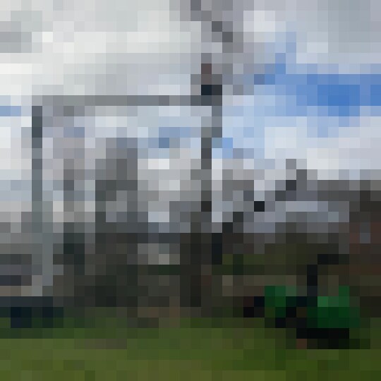 trees2